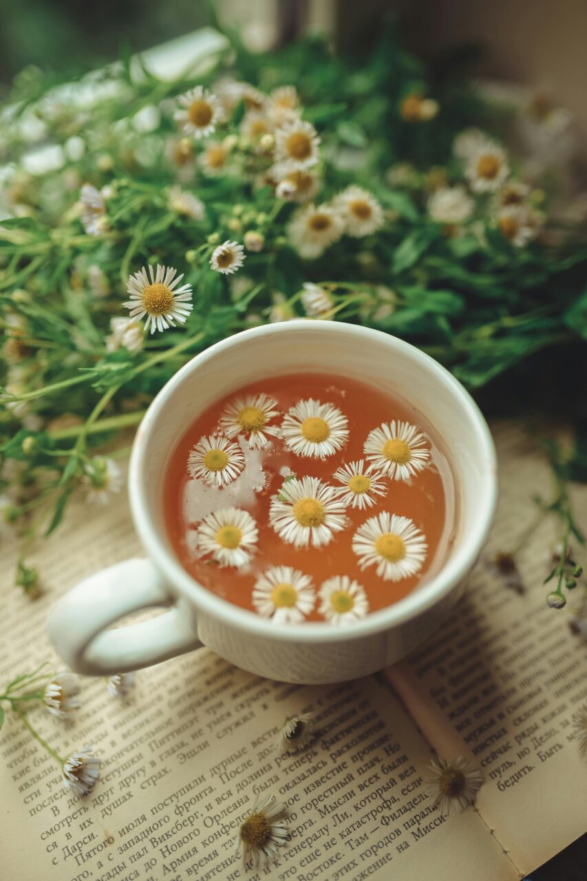 Kamillentee: Ein duftendes Allroundtalent, etwa bei Bauchschmerzen